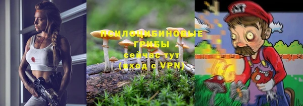 мдпв Вяземский